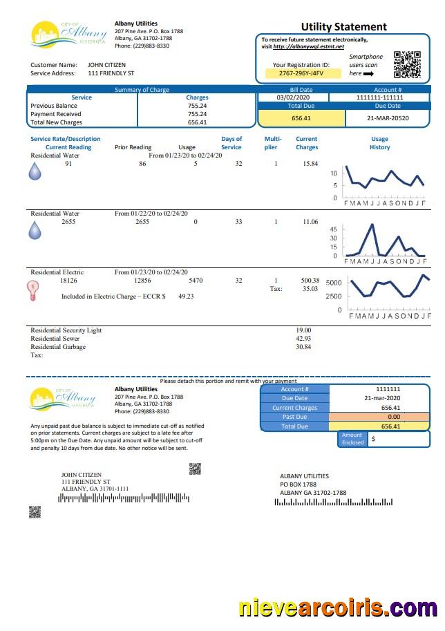 USA Georgia City of Albany water and electricity utility bill